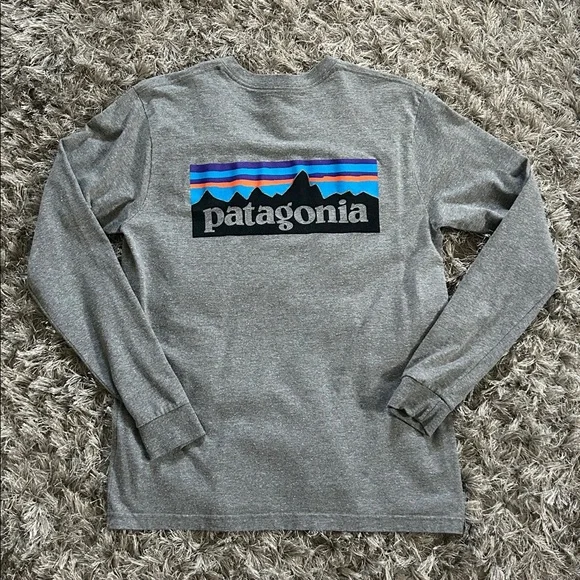 Patagonia Heather Gray Long Sleeve Tee - Picture 1 of 3